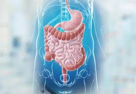 Medical Gastroenterology Department