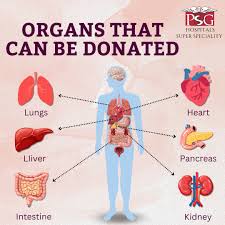 Organ Donation & Transplant Support
